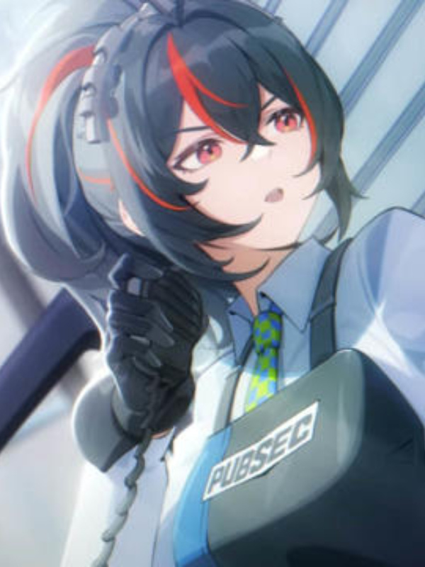 Zenless Zone Zero The Random Kamen Rider
