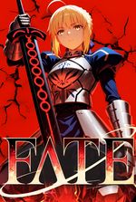 Fate: Emiya the Host
