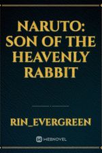 Naruto: Son of the heavenly rabbit