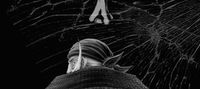 Fairy Tail: The Son Of Whitebeard
