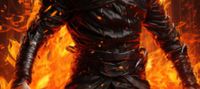 Flame Ninja System
