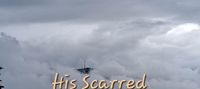 His Scarred Bodyguard