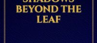 Hokage World: Shadows Beyond the Leaf