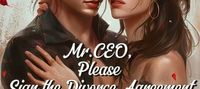 Mr.CEO, Please Sign the Divorce Agreement