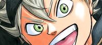 Naruto: Legacy From Leaf To Clover