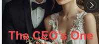The CEO’s One Night Obsession